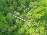 Arenal Hanging Bridges Mistico Park Main Bridge Aerial View
 - Costa Rica