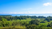 View From The Top Of Rancho Tropical
 - Costa Rica