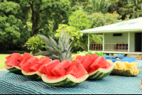 Watermelon San Pedrillo Ranger Station Corcovado National Park
 - Costa Rica