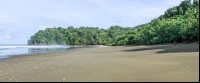 hermosa beach attraction dominical vegetation 
 - Costa Rica