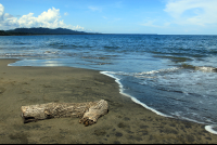 playa negra puerto viejo driftwood 
 - Costa Rica