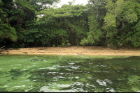 caribbean adventure snorkeling dolphin watching secluded beach 
 - Costa Rica