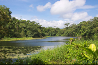 placid los patos lagoon eye level view at arenal volcano  eruption site lookout point
 - Costa Rica