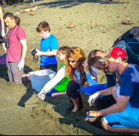 Releasing Baby Turtles Turtle Hatching At Piro Beach Costa Rica
 - Costa Rica