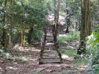 Gandoca Manzanillo Wildlife Refuge Bridge Over Marsh
 - Costa Rica