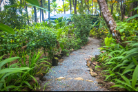 La Leona Gravel Paths Costa Rica
 - Costa Rica