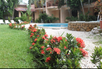 flowers in walkway hotelgiada 
 - Costa Rica