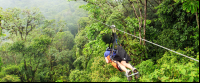 superman de osa top 
 - Costa Rica