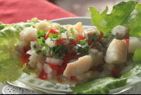 red snapper ceviche lagarta lodge
 - Costa Rica