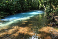 rio celeste rivers merge 
 - Costa Rica