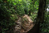 posa azul waterfall trail 
 - Costa Rica