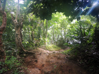 biesandz beach trail 
 - Costa Rica