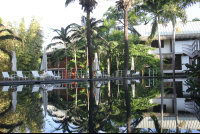 water reflections
 - Costa Rica