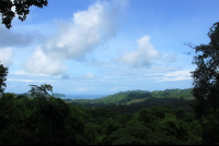 los suenos canopy view 
 - Costa Rica