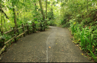 arenas del mar road 
 - Costa Rica