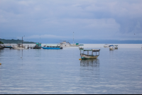 Boats Moored On Puerto Jimenez Pier Platanares Mangroves In Puerto Jimenez
 - Costa Rica