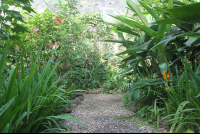 montezuma butterfly garden trail 
 - Costa Rica