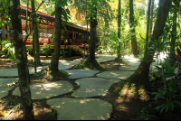 pachira lodge restaurant 
 - Costa Rica