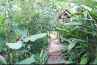 garden bridge montezuma butterfly garden 
 - Costa Rica