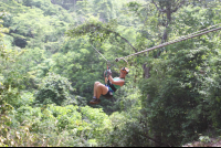 canopy punta islita 
 - Costa Rica