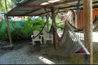 cabinas arrecife hammocks 
 - Costa Rica