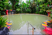 Blue River Resort Hot Spring Cement Pool
 - Costa Rica