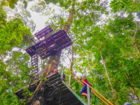 Tall Platform Corcovado Canopy Tour
 - Costa Rica