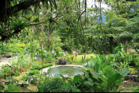 hot springs lodge pool 
 - Costa Rica