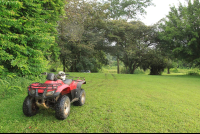 fourtrax rainmaker 
 - Costa Rica