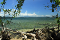 cahuita national park attraction page coast 
 - Costa Rica