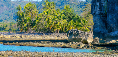 Cabo Blanco Reserve - Costa Rica