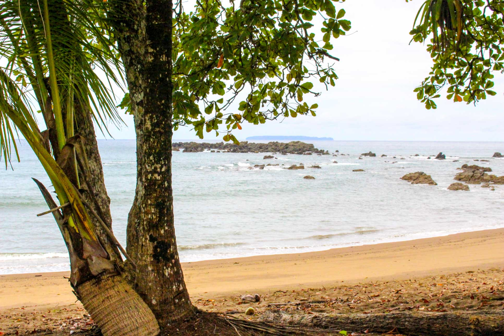 beachview san pedrillo ranger station
 - Costa Rica