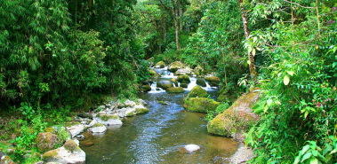 Mountain Peaks Region - Costa Rica