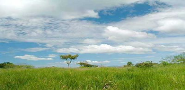 Amazing Farm for Development - Costa Rica