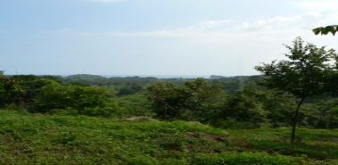 North Pacific Ocean-view Beach Lots - Costa Rica