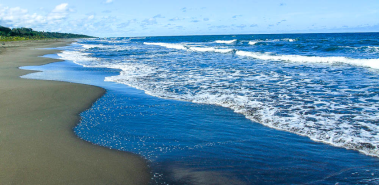 Playa Grande - Cahuita - Costa Rica