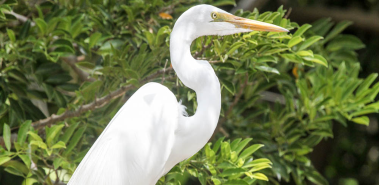 Palo Verde National Park - Costa Rica