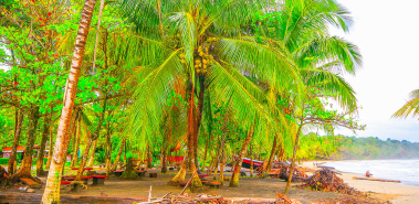 Playa Manzanillo - Costa Rica