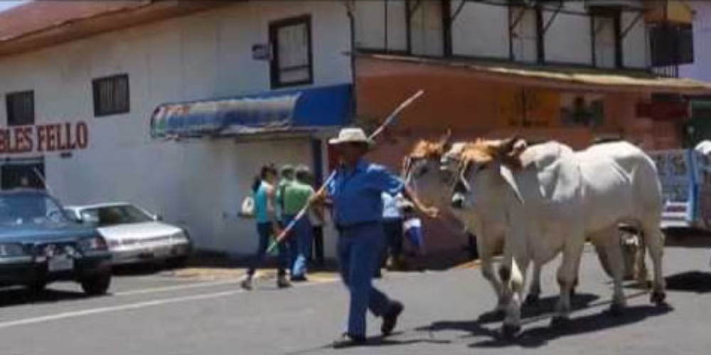 atenas oxcart parade
 - Costa Rica