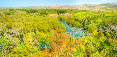 Nosara Biological Reserve - Costa Rica