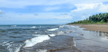 Tortuguero Beach - Costa Rica