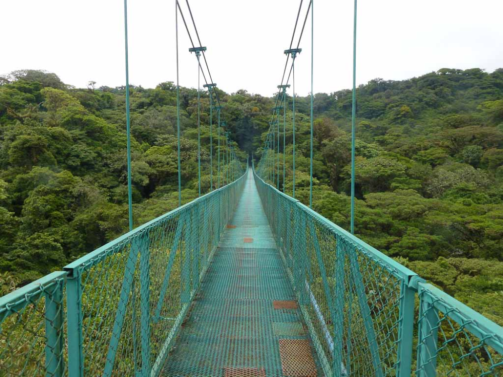 selvetura hanging bridges
 - Costa Rica