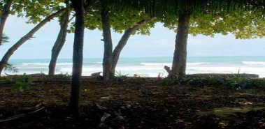 Beachfront Lot with a Cabin - Costa Rica