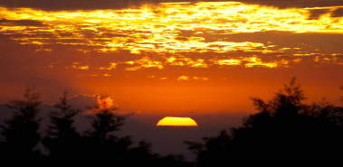 5 things to see at the Monteverde Cloud Forest Reserve - Costa Rica